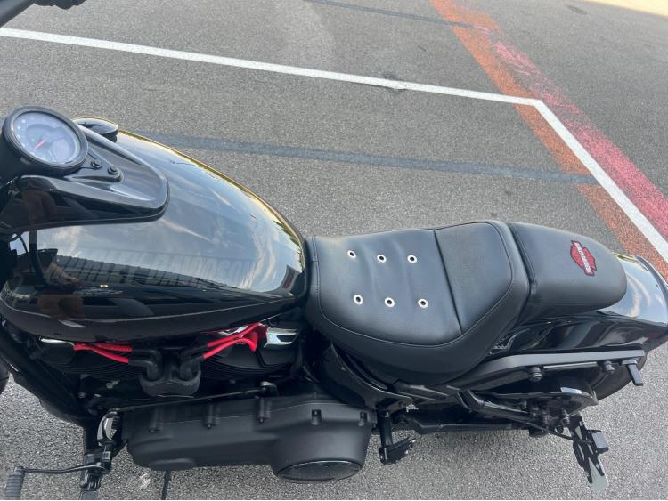 HARLEY-DAVIDSON SOFTAIL FAT BOB 1745