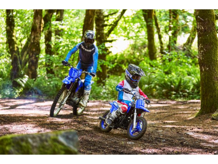 YAMAHA PW50 (25)