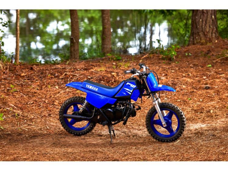 YAMAHA PW50 (25)