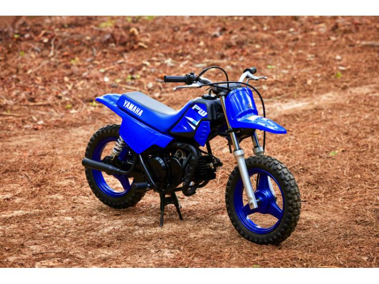 YAMAHA PW50 (25)